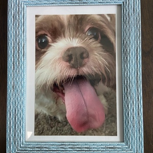 Fundraising Page: Veronica Lister